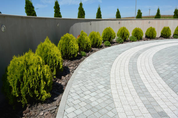 Best Paver Driveway Replacement  in Watsonville, CA